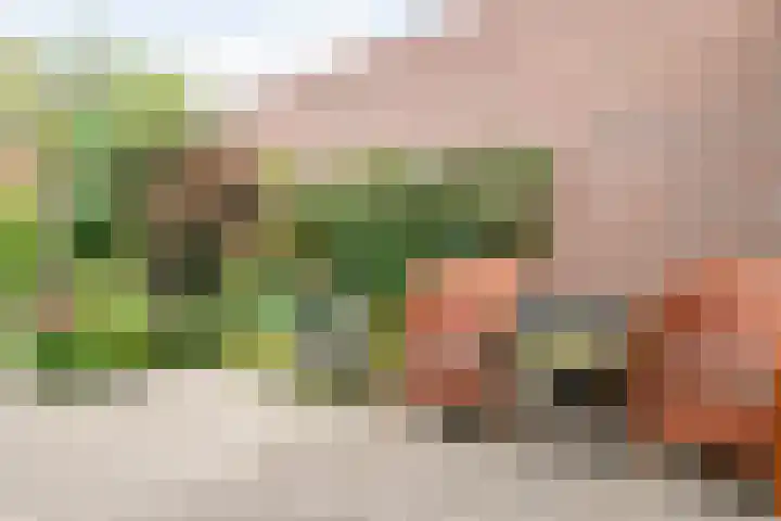 Zwerfheide 19 Grubbenvorst thumbnail 26