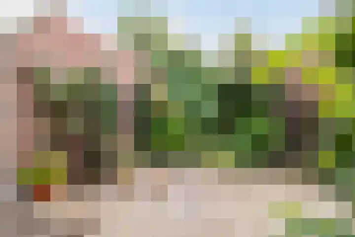 Zwerfheide 19 Grubbenvorst thumbnail 28