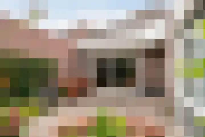 Zwerfheide 19 Grubbenvorst thumbnail 29