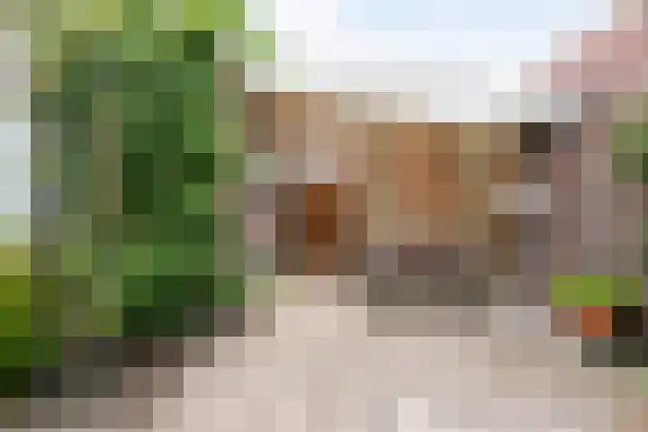 Zwerfheide 19 Grubbenvorst thumbnail 30