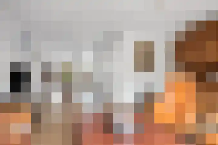 Zwerfheide 19 Grubbenvorst thumbnail 7