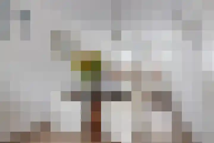 Zwerfheide 19 Grubbenvorst thumbnail 8