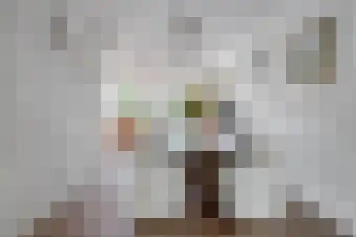 Zwerfheide 19 Grubbenvorst thumbnail 9