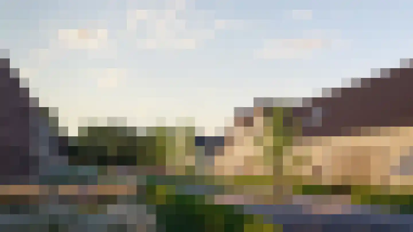 Zwerfheide in Gennep
