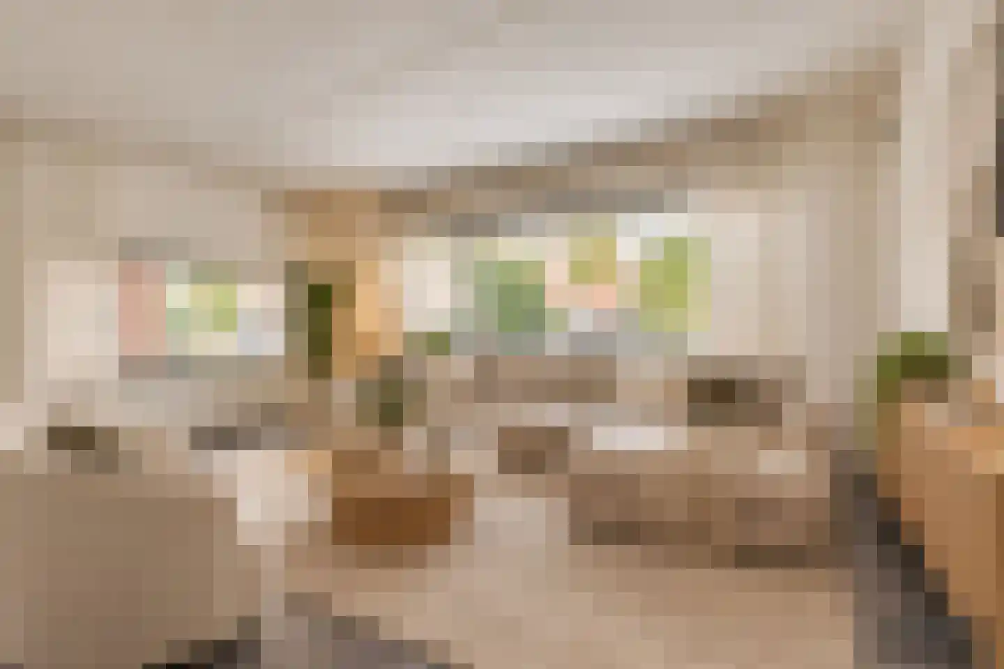 Zwerfheide 8 Grubbenvorst thumbnail 4