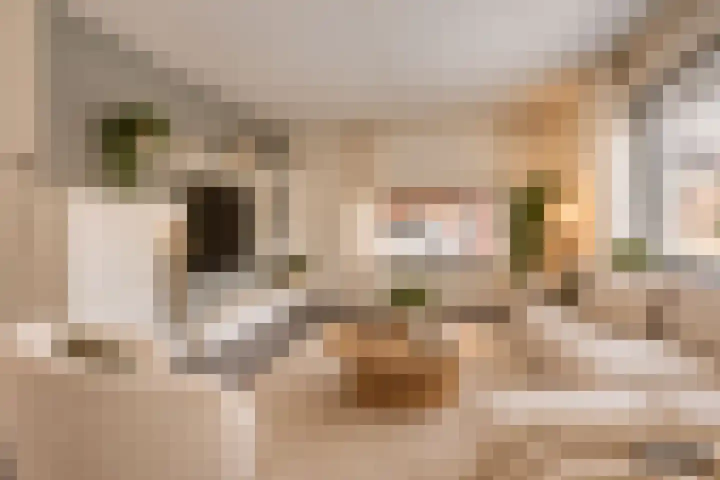 Zwerfheide 8 Grubbenvorst thumbnail 6