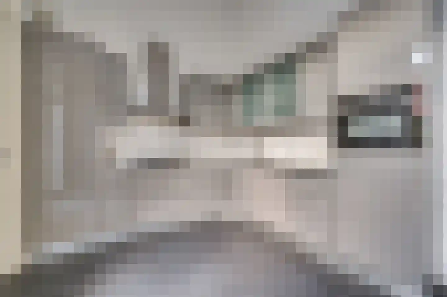 Zwerfheide 8 Grubbenvorst thumbnail 8
