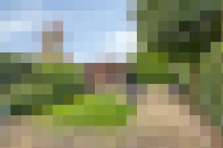 Zwerfkei 18 Malden thumbnail 37