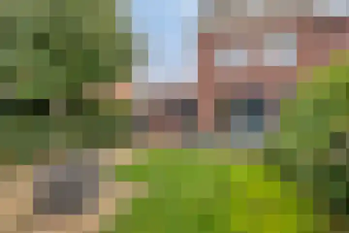 Zwerfkei 18 Malden thumbnail 39