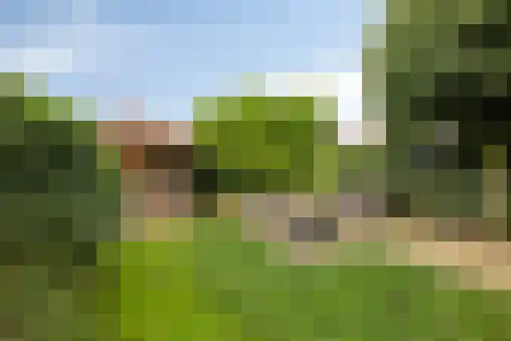 Zwerfkei 18 Malden thumbnail 41