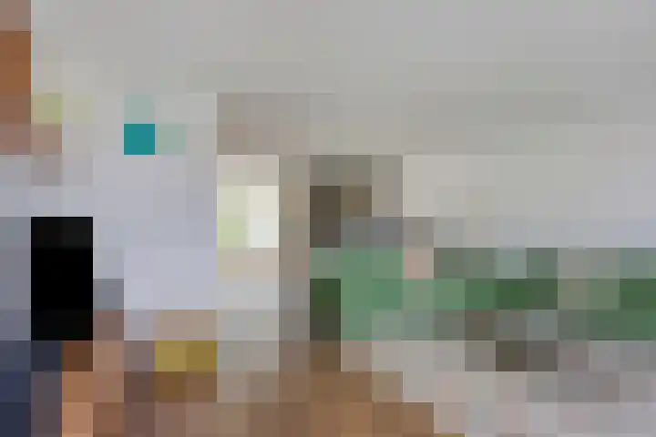 Zwerfkei 18 Malden thumbnail 5