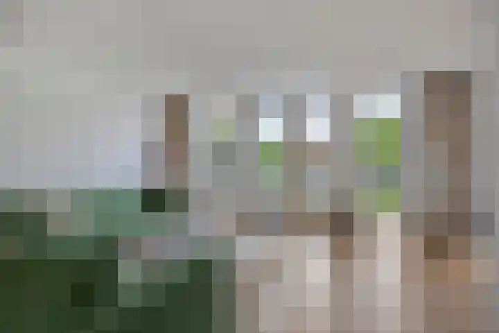 Zwerfkei 18 Malden thumbnail 6