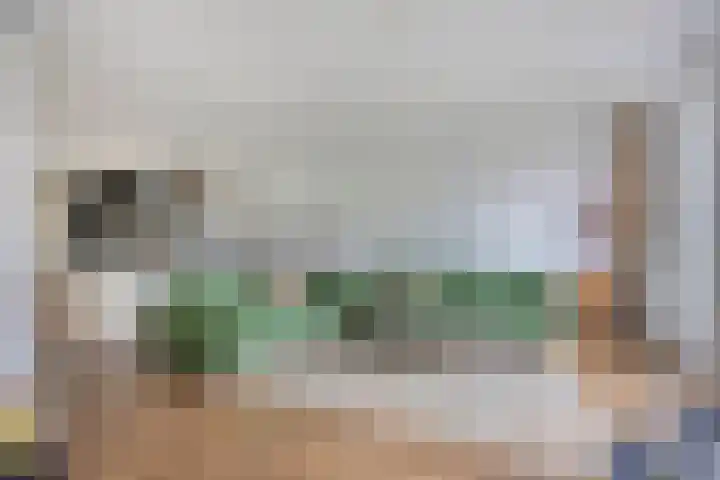 Zwerfkei 18 Malden thumbnail 8