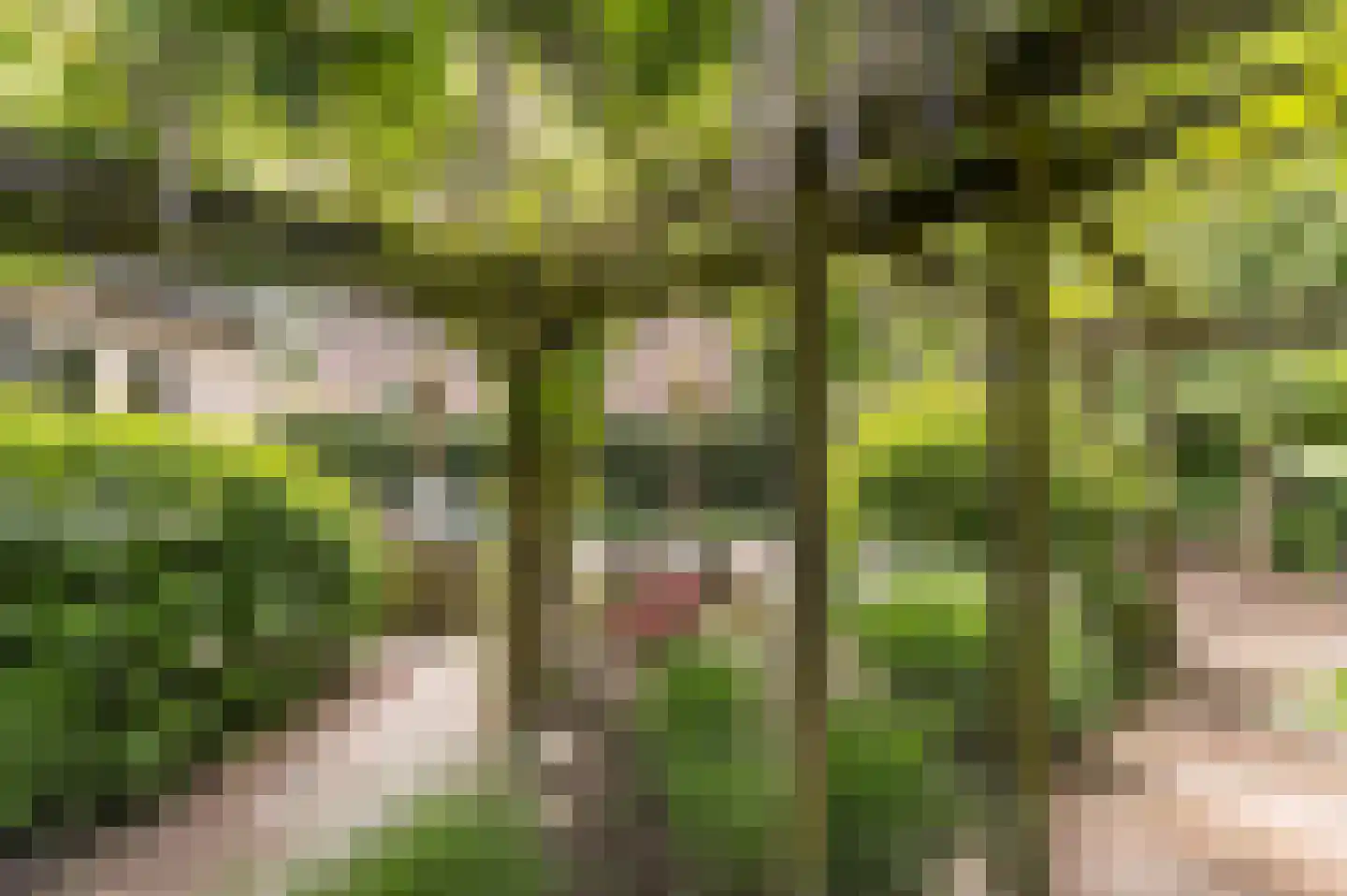 Zwerfkei 55 Malden thumbnail 63