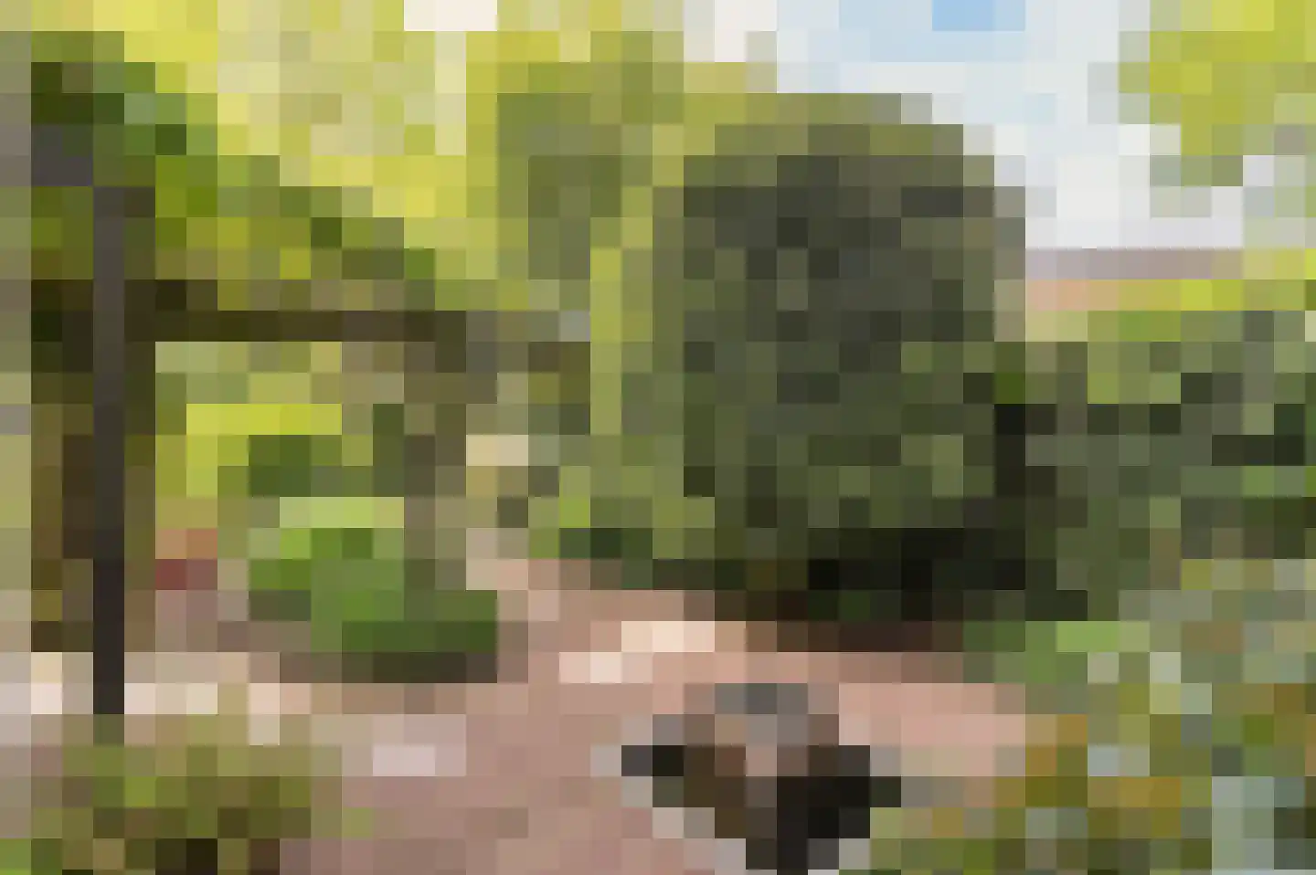 Zwerfkei 55 Malden thumbnail 64