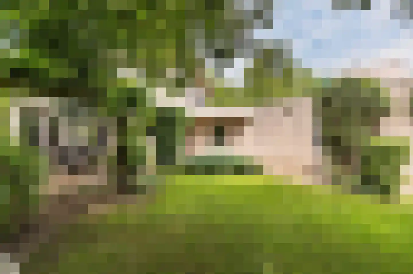 Zwerfkei 55 Malden thumbnail 66