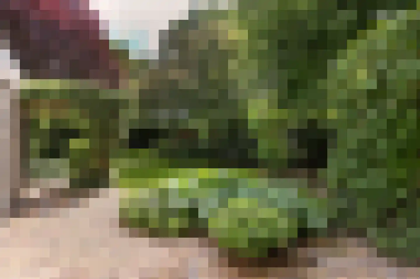Zwerfkei 55 Malden thumbnail 67
