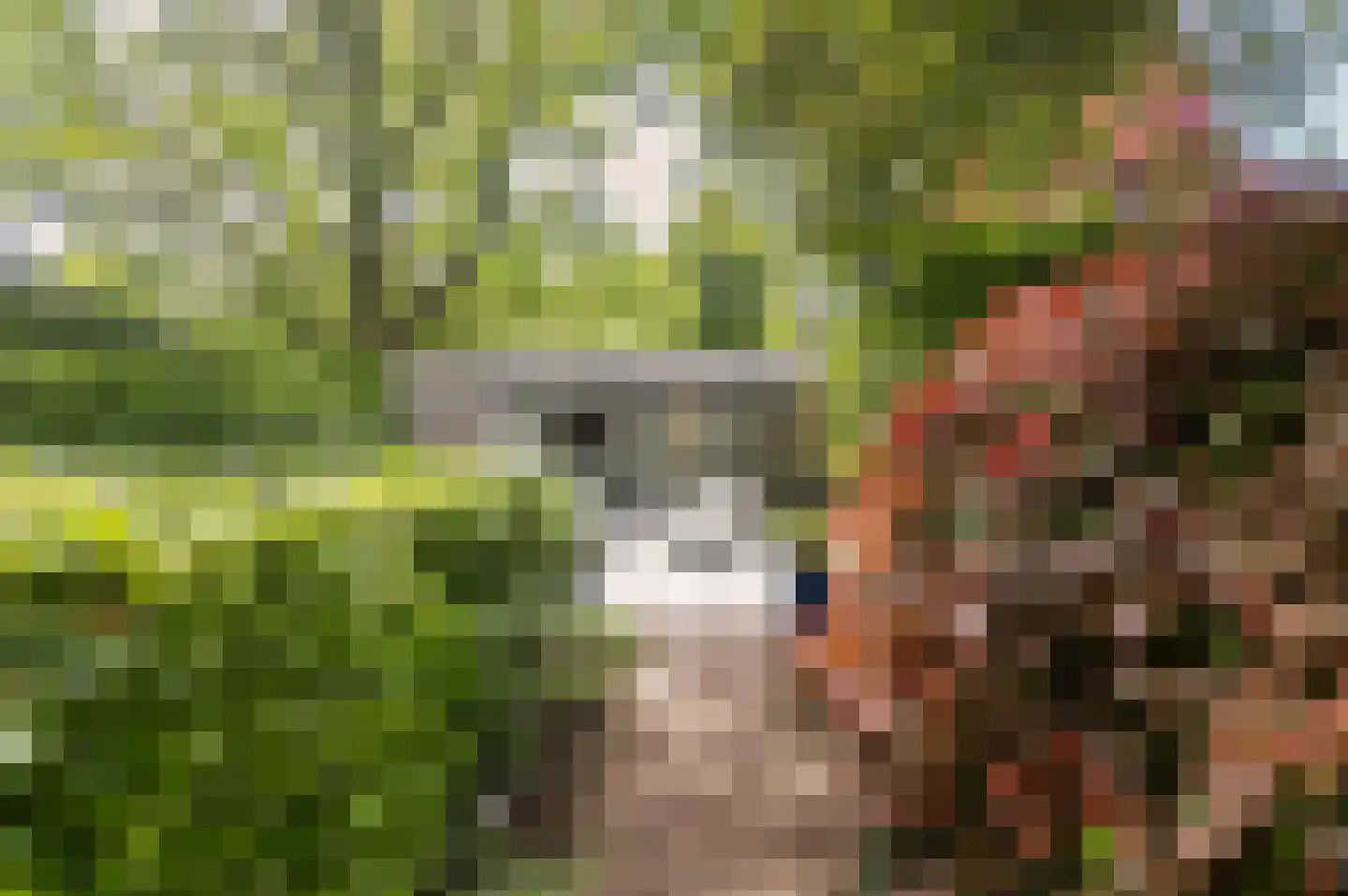 Zwerfkei 55 Malden thumbnail 69