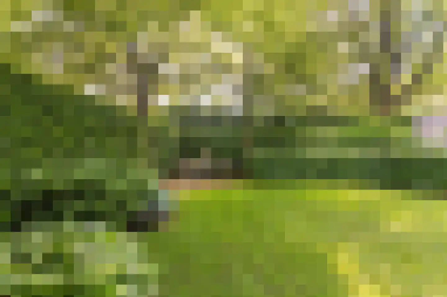 Zwerfkei 55 Malden thumbnail 71