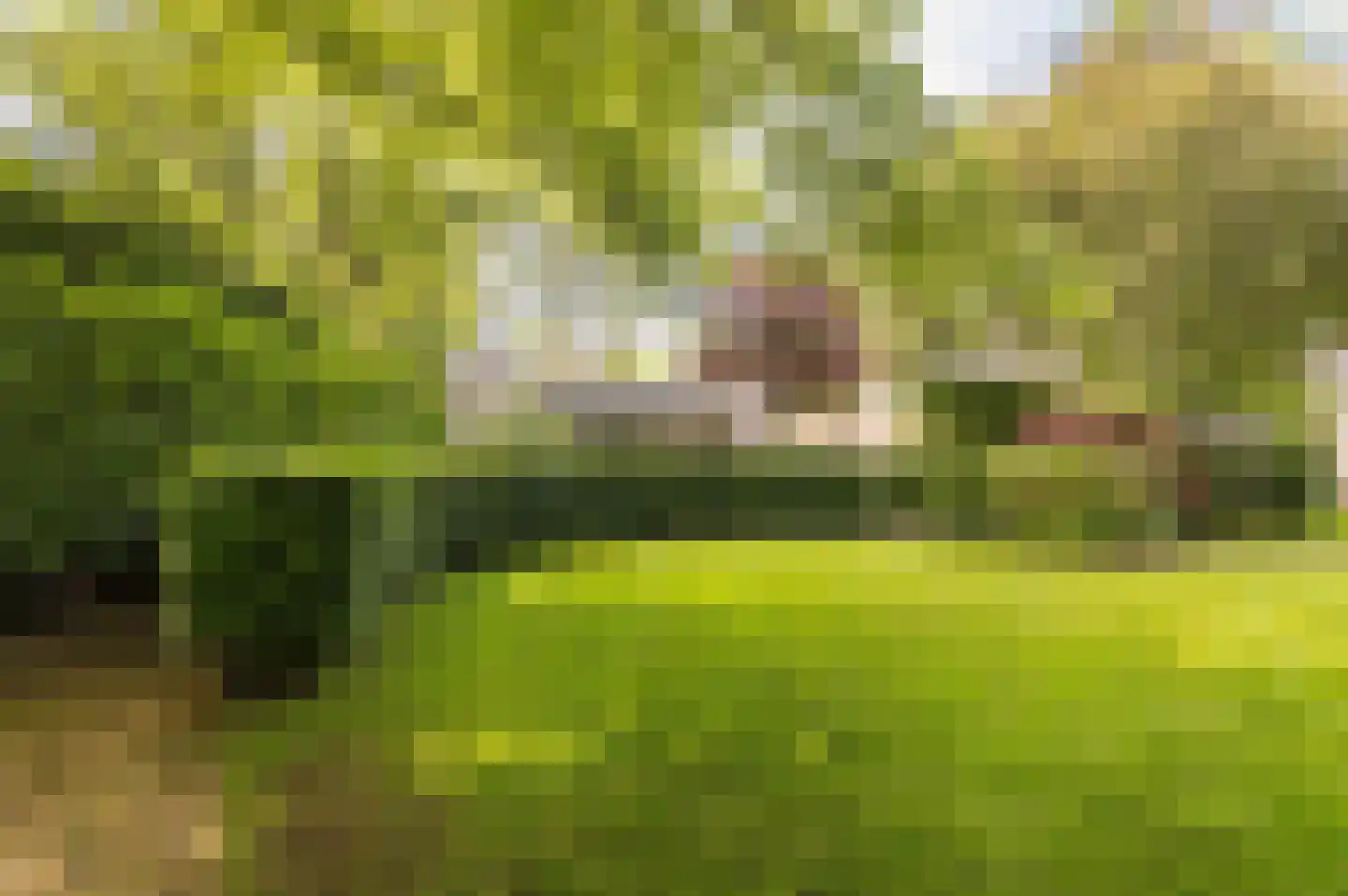 Zwerfkei 55 Malden thumbnail 72