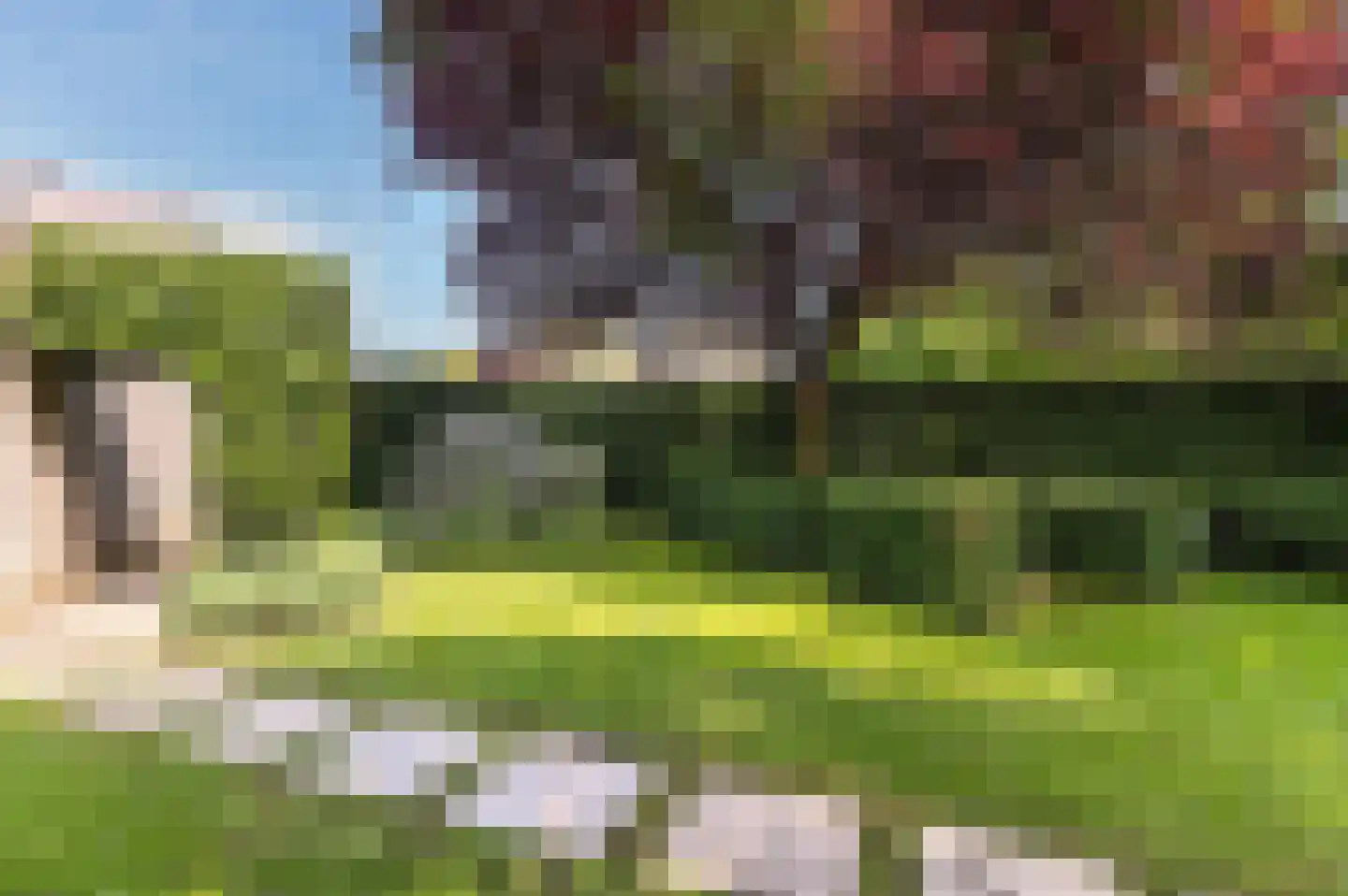 Zwerfkei 55 Malden thumbnail 73