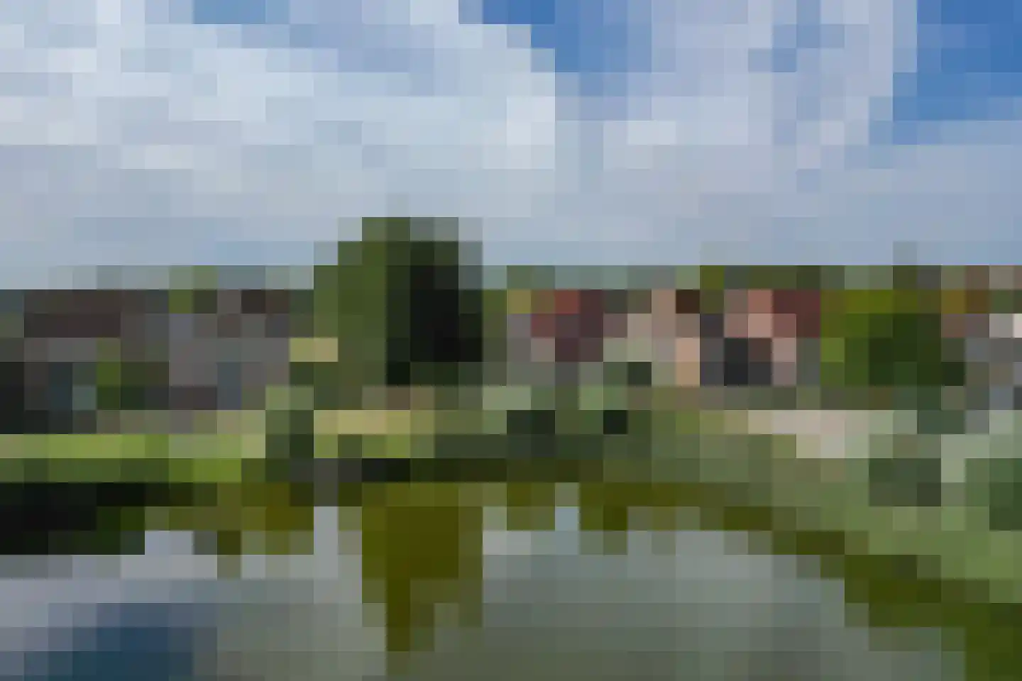 Zwerfkei 80 Malden thumbnail 46