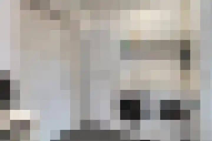 Zwerfvelden 27 Best thumbnail 13