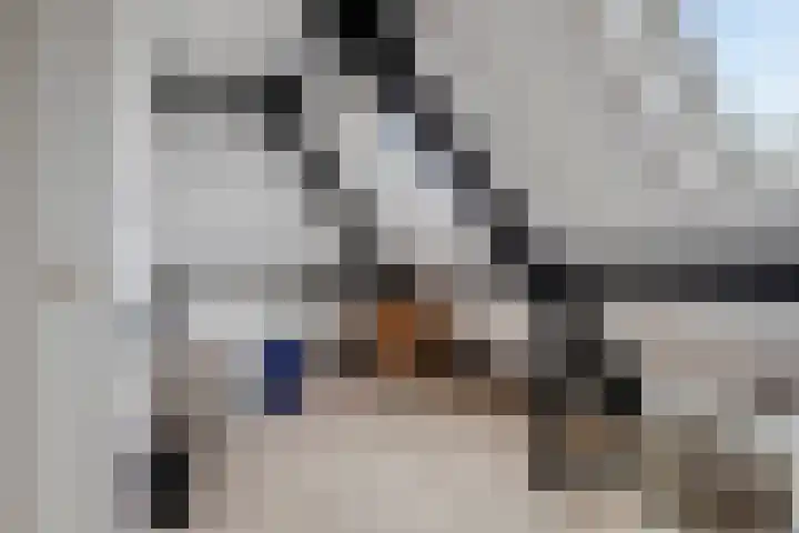 Zwerfvelden 27 Best thumbnail 18