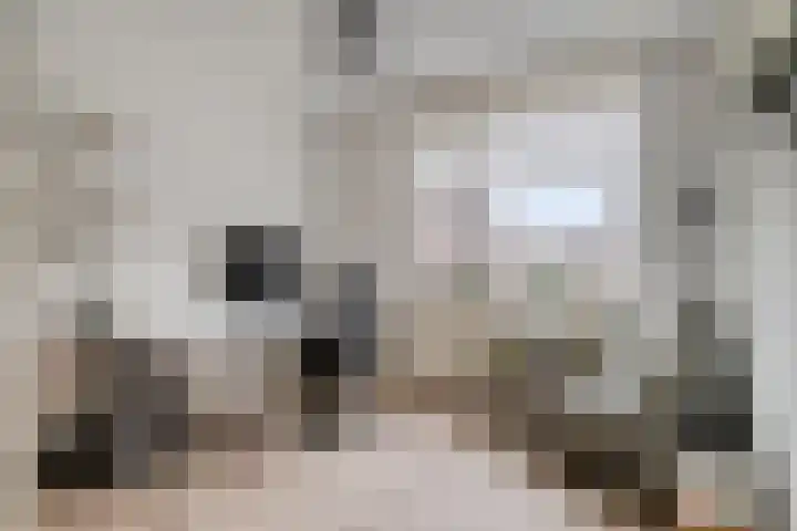 Zwerfvelden 27 Best thumbnail 22