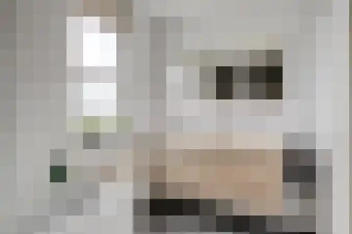 Zwerfvelden 27 Best thumbnail 23