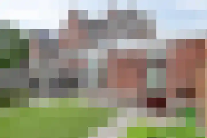 Zwerfvelden 27 Best thumbnail 28