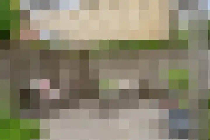 Zwerfvelden 27 Best thumbnail 29