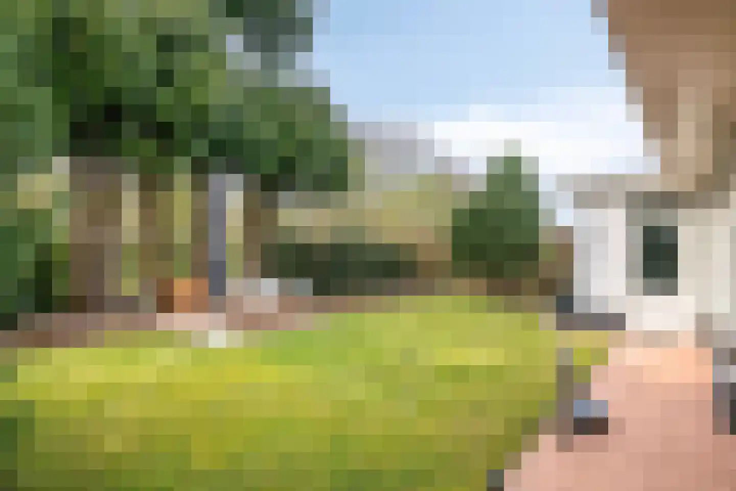 Zwerfvelden 8 Best thumbnail 40