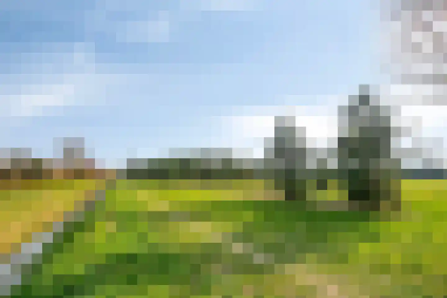 Zwerfvelden 8 Best thumbnail 53