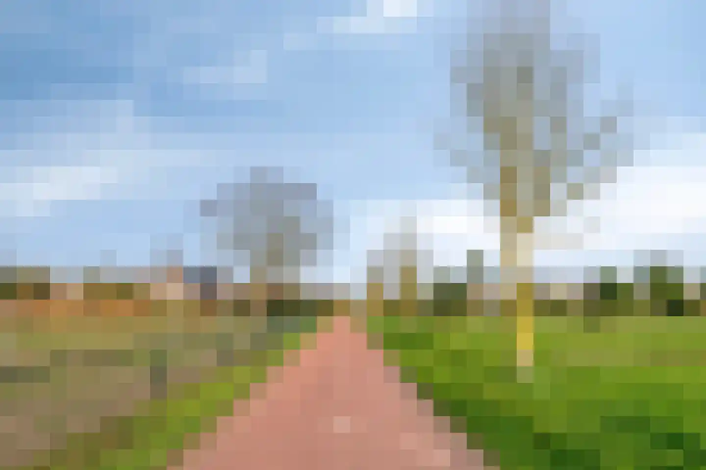 Zwerfvelden 8 Best thumbnail 54