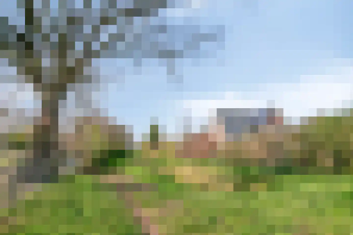 Zwerfvelden 8 Best thumbnail 55