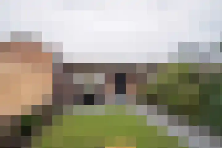 Zweringweg 110 Enschede thumbnail 33