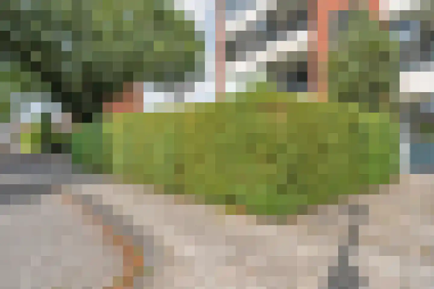 Zweringweg 306 Enschede thumbnail 9