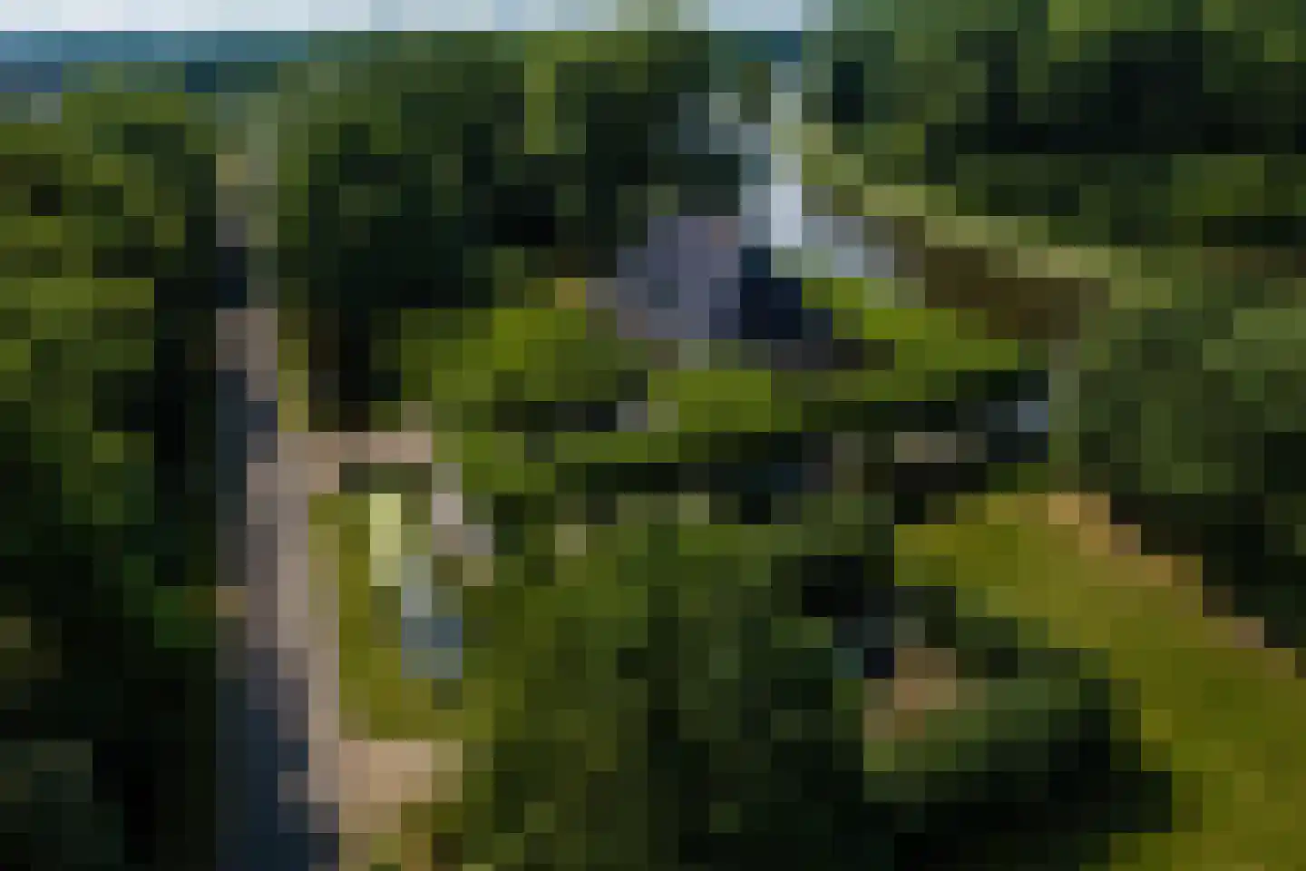 Zwet 13 Delfzijl thumbnail 10