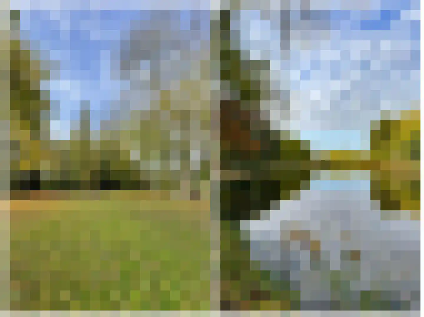 Zwet 13 Delfzijl thumbnail 100