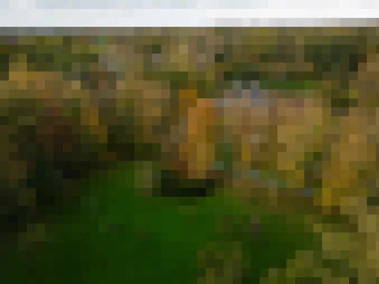 Zwet 13 Delfzijl thumbnail 102