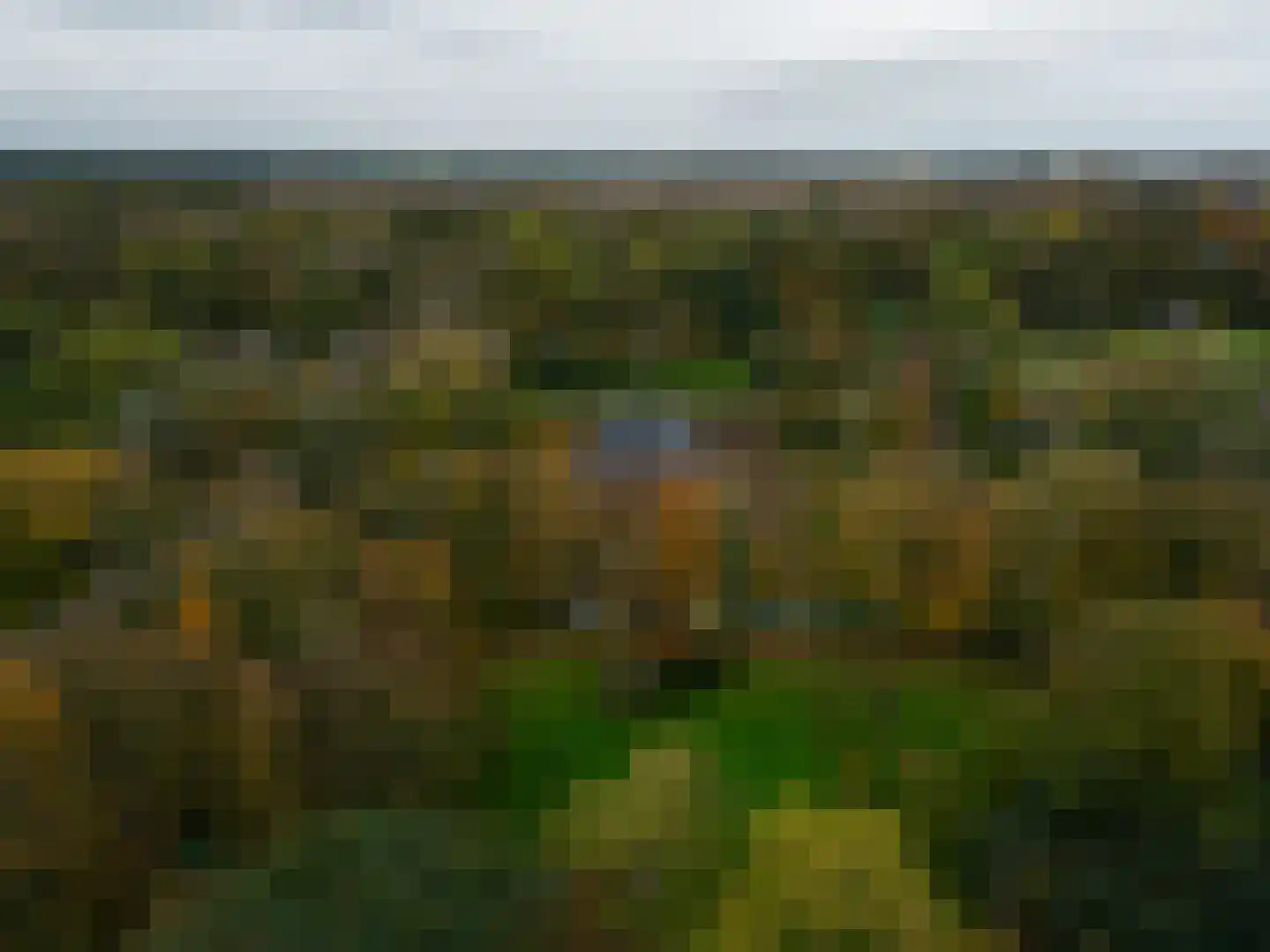 Zwet 13 Delfzijl thumbnail 103