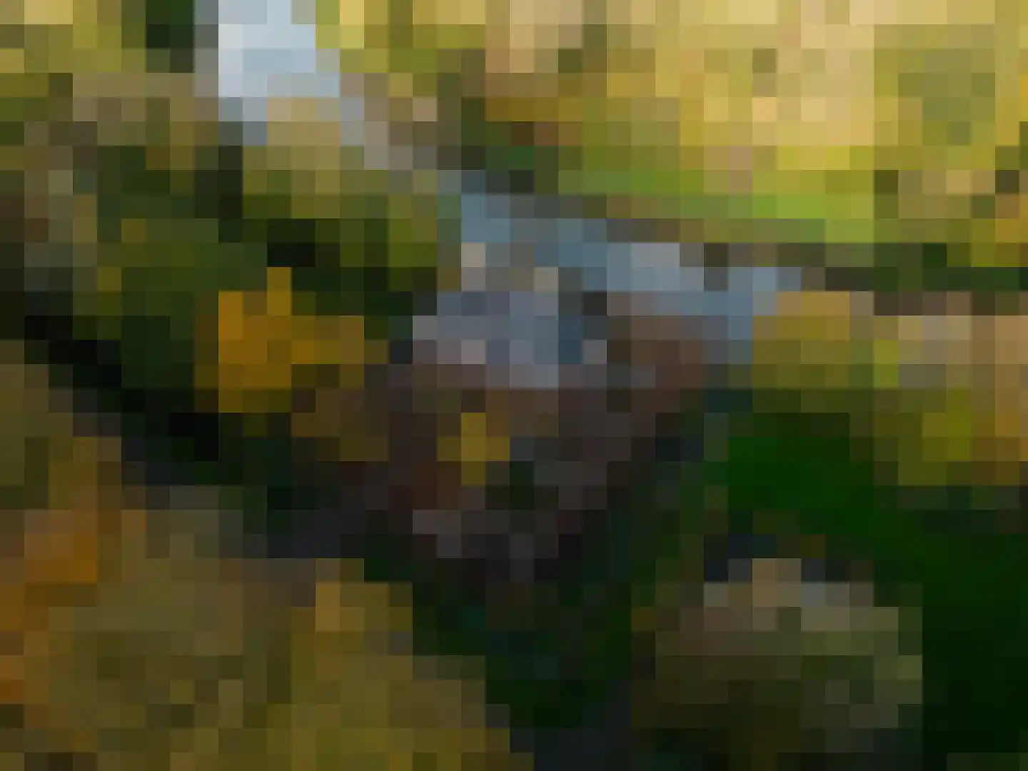 Zwet 13 Delfzijl thumbnail 104