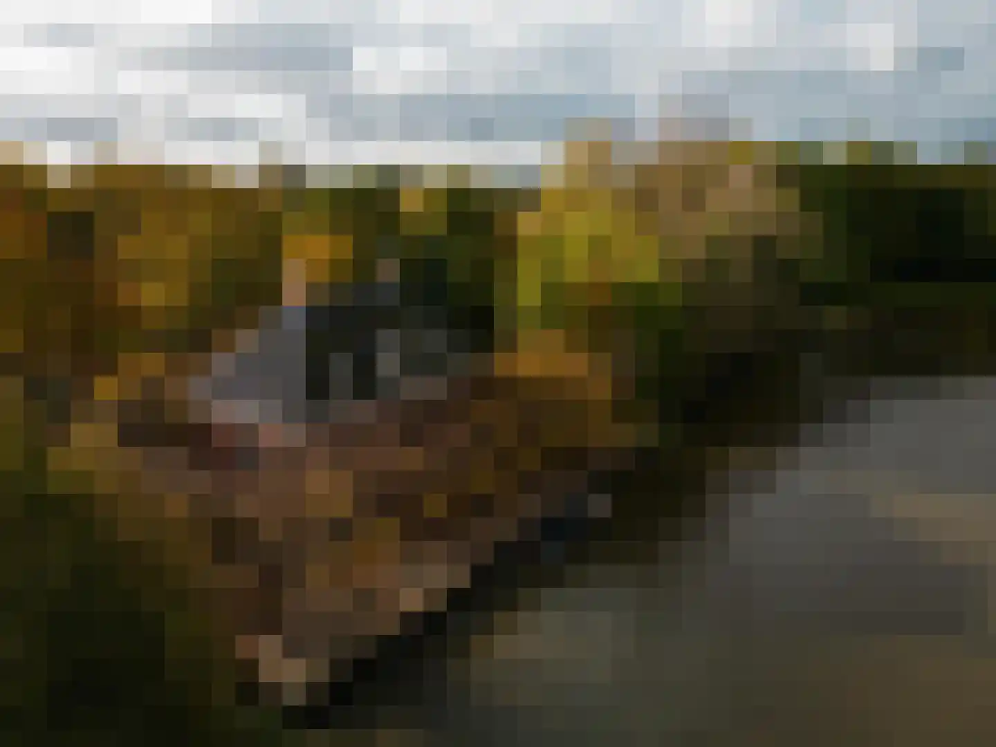 Zwet 13 Delfzijl thumbnail 105
