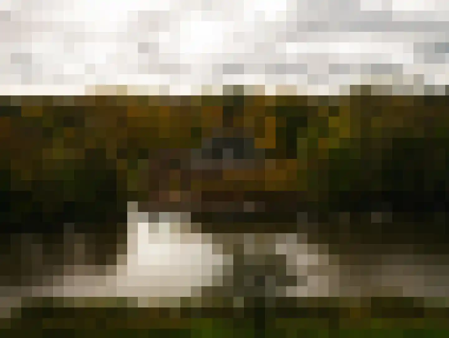 Zwet 13 Delfzijl thumbnail 106