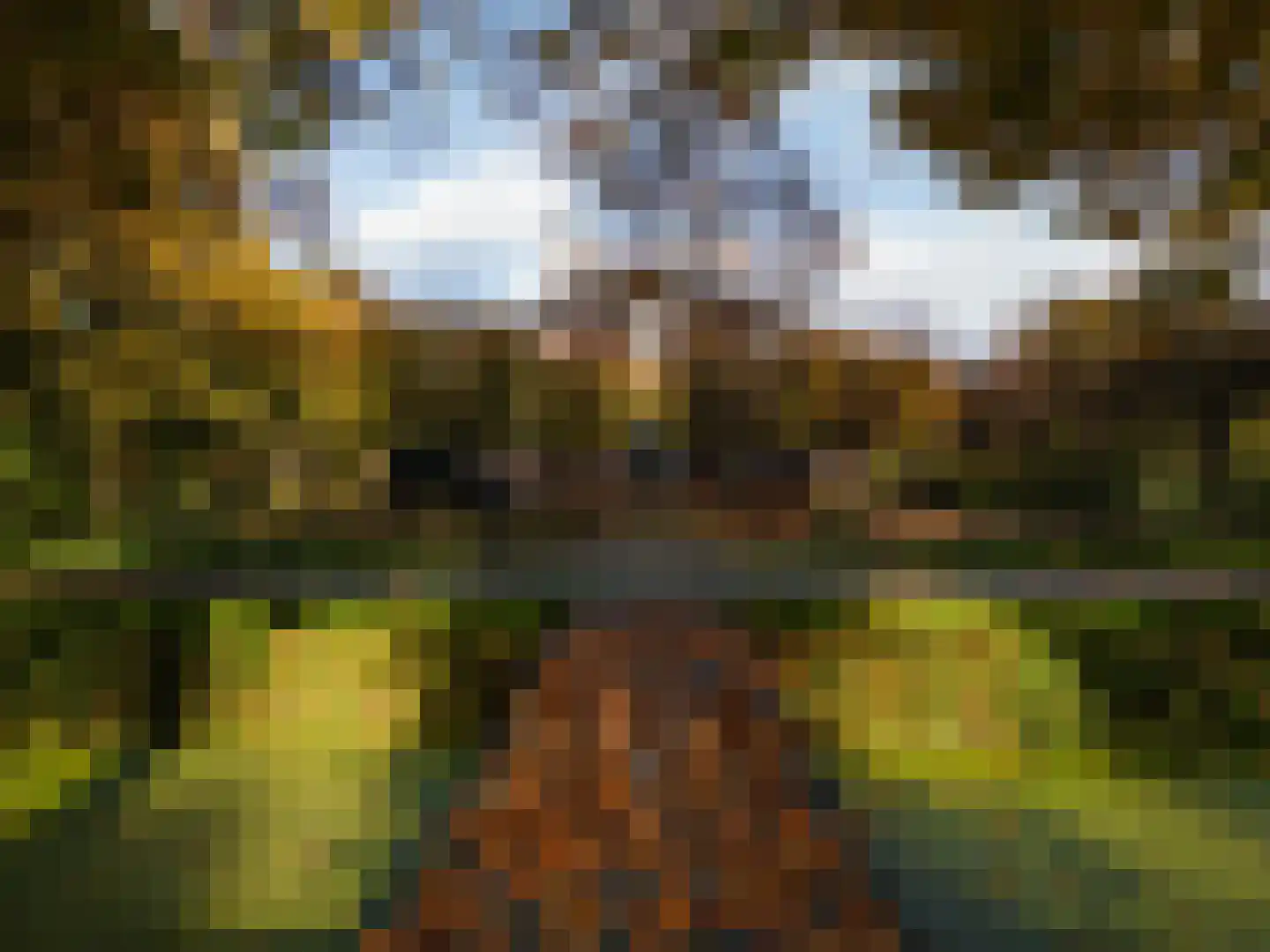 Zwet 13 Delfzijl thumbnail 107