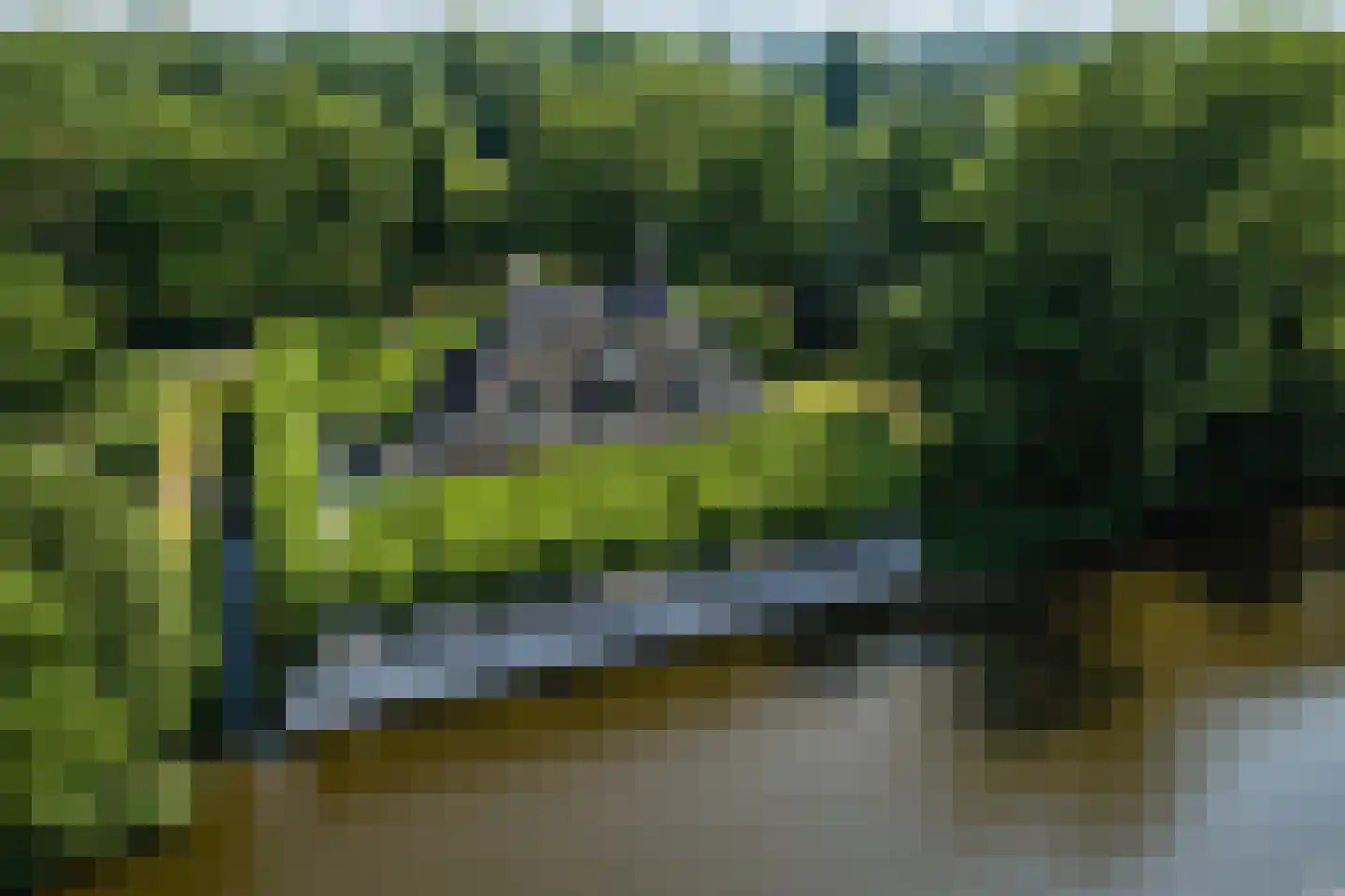 Zwet 13 Delfzijl thumbnail 11
