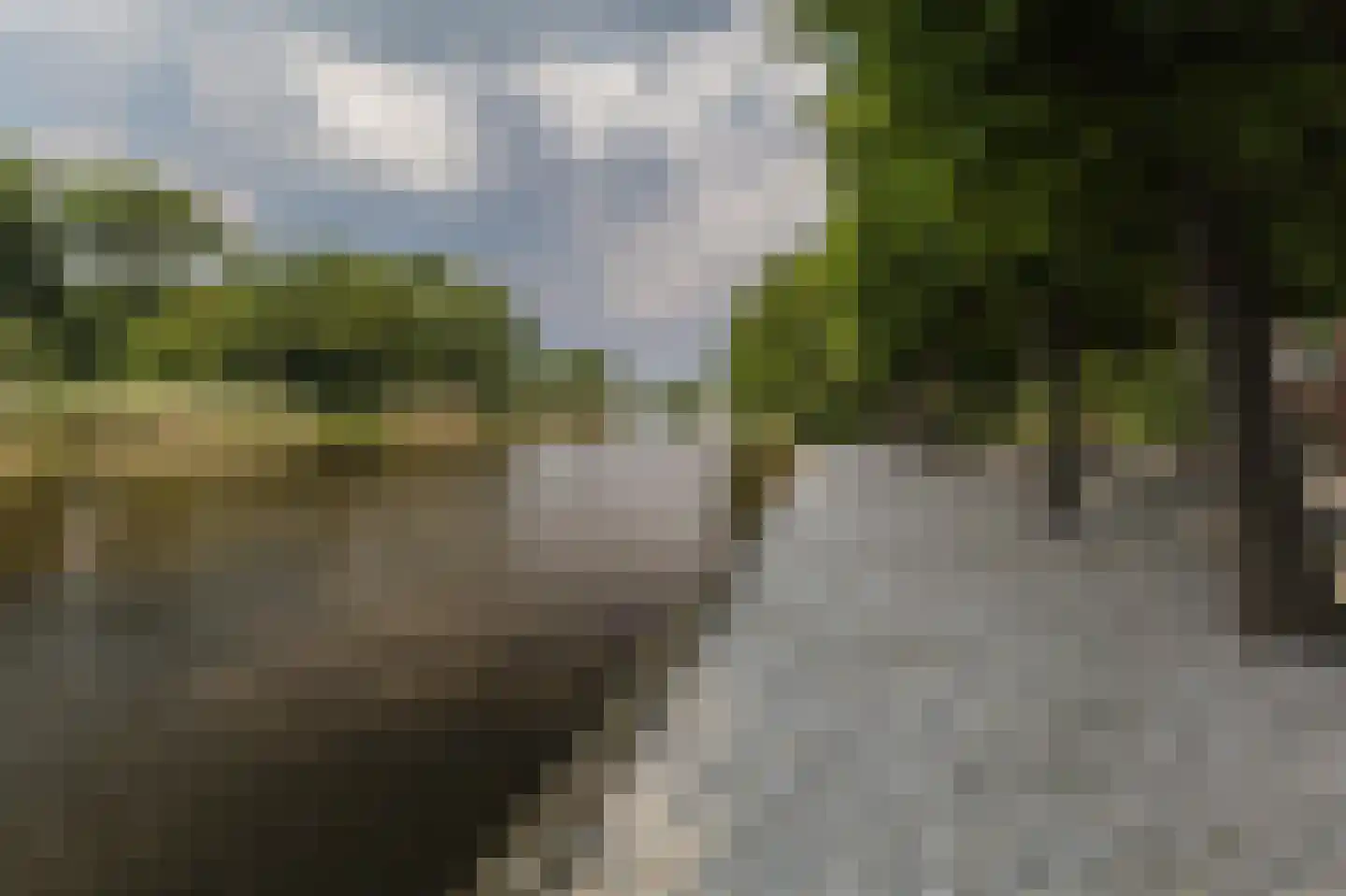 Zwet 13 Delfzijl thumbnail 13