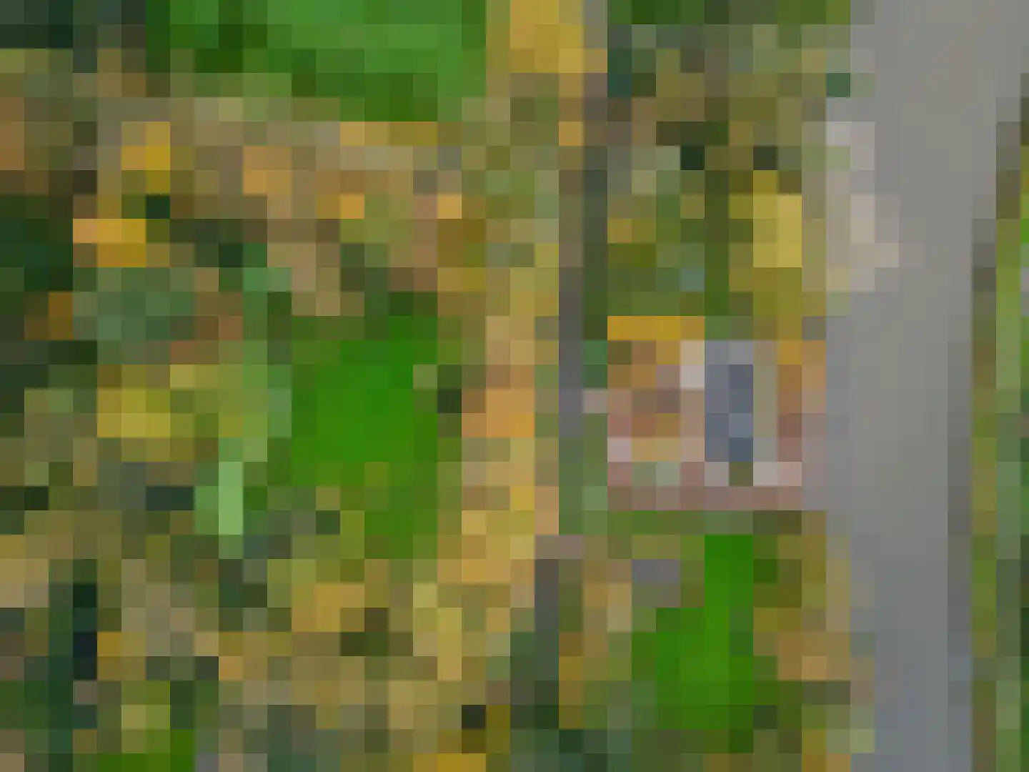 Zwet 13 Delfzijl thumbnail 15