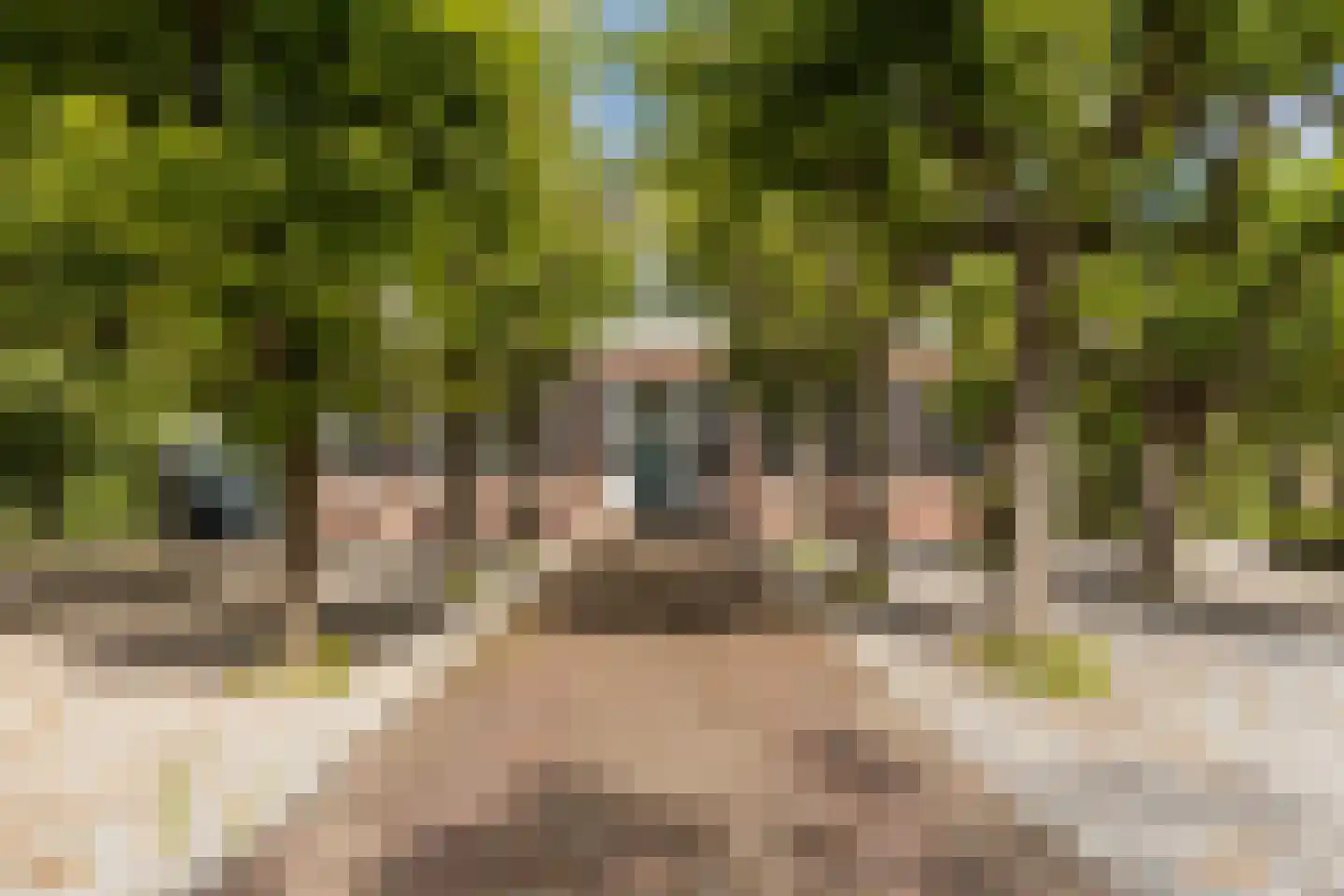 Zwet 13 Delfzijl thumbnail 17